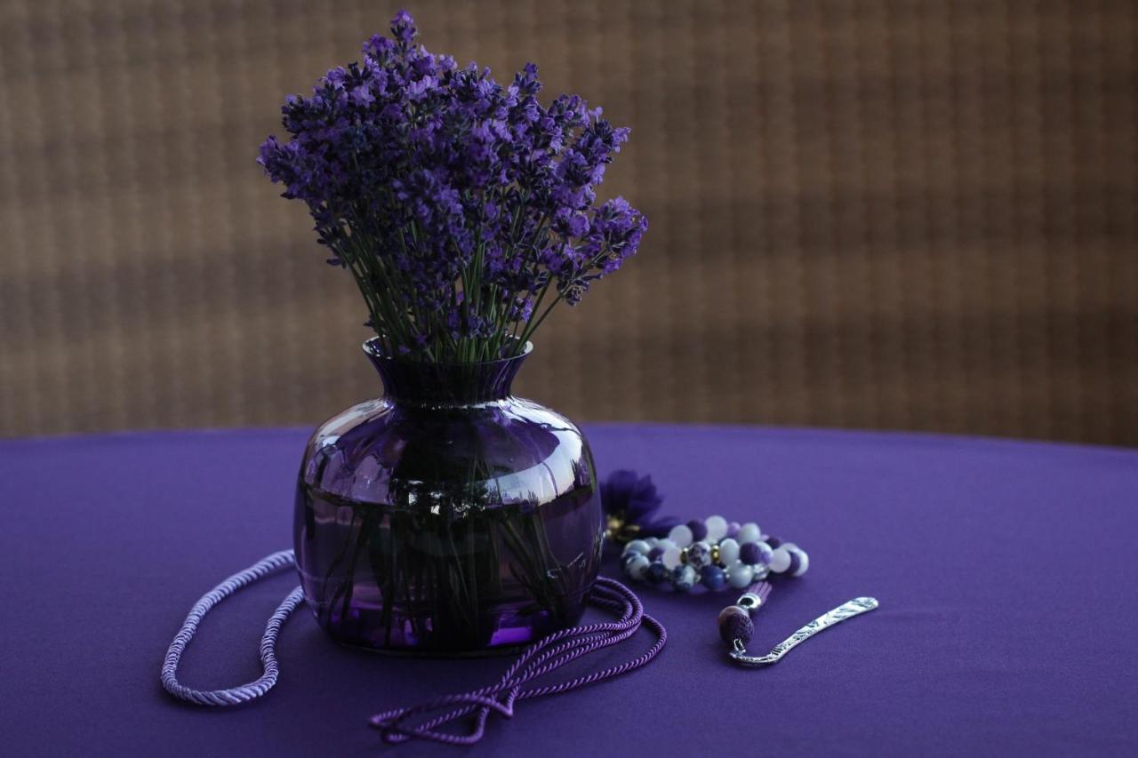 Lavender Inn Guest House Viesvenai 외부 사진